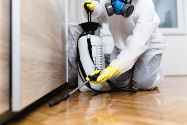 Professional Pest Control in Doa Ana, NM