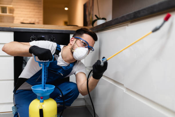 Best Mosquito Control Services  in Doa Ana, NM