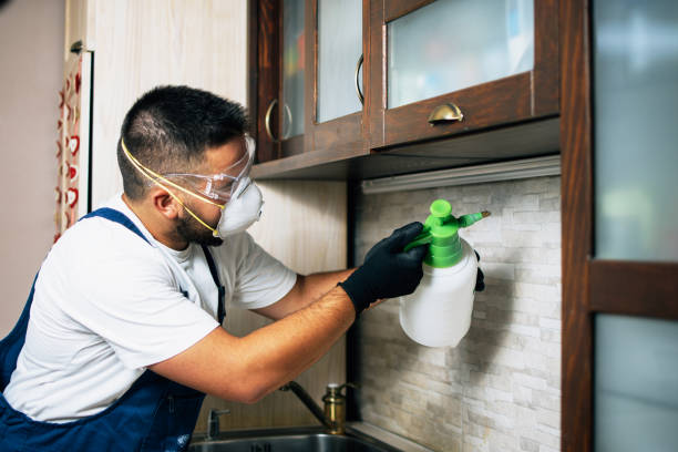 Pest Prevention Services in Doa Ana, NM