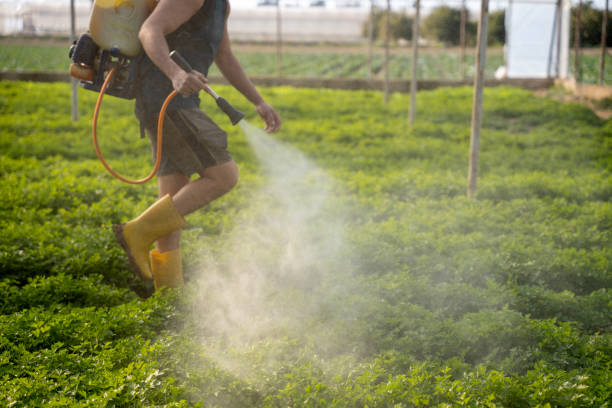Best Pest Control Near Me in Doa Ana, NM