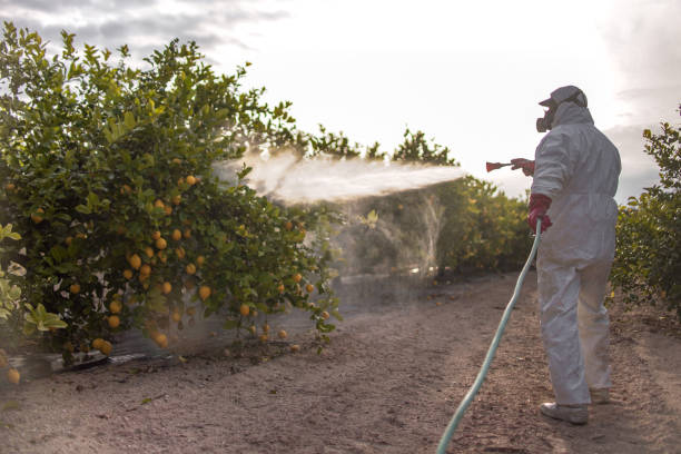 Best Exterminator Services  in Doa Ana, NM