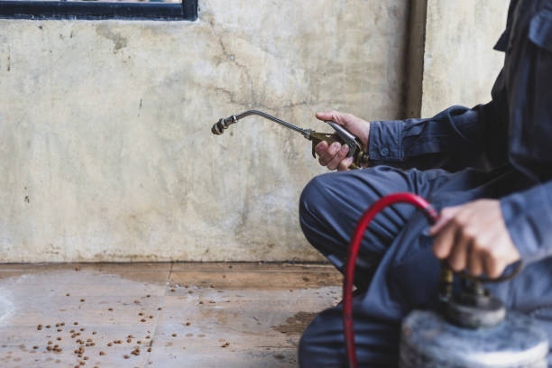 Best Local Pest Control Services  in Doa Ana, NM