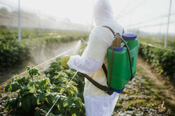 Best Pest Removal Services  in Doa Ana, NM